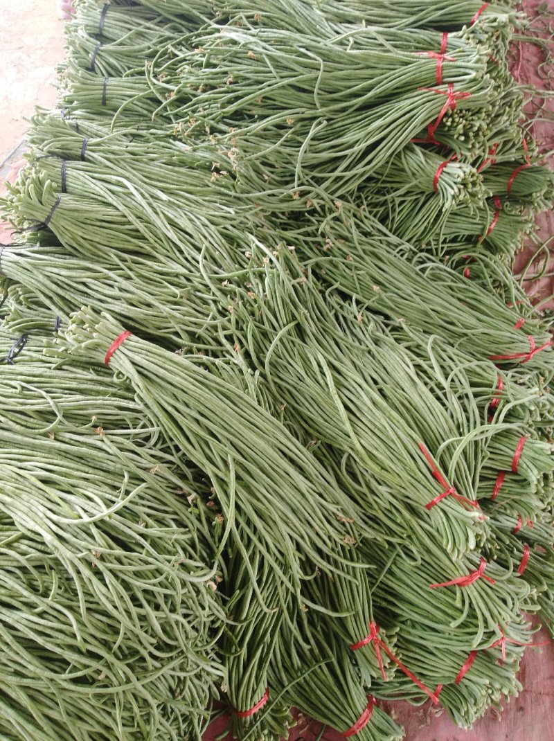长豆角