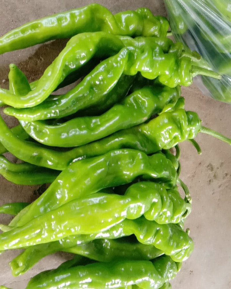 螺丝椒