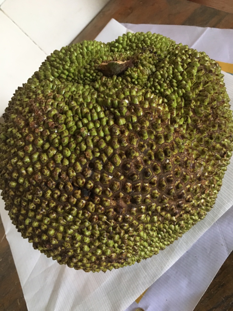 菠萝蜜