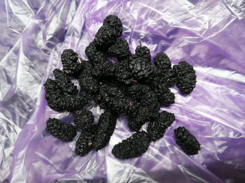 桑葚干黑桑椹饮片花茶药材全年供应提供物流包邮欢迎实地考察