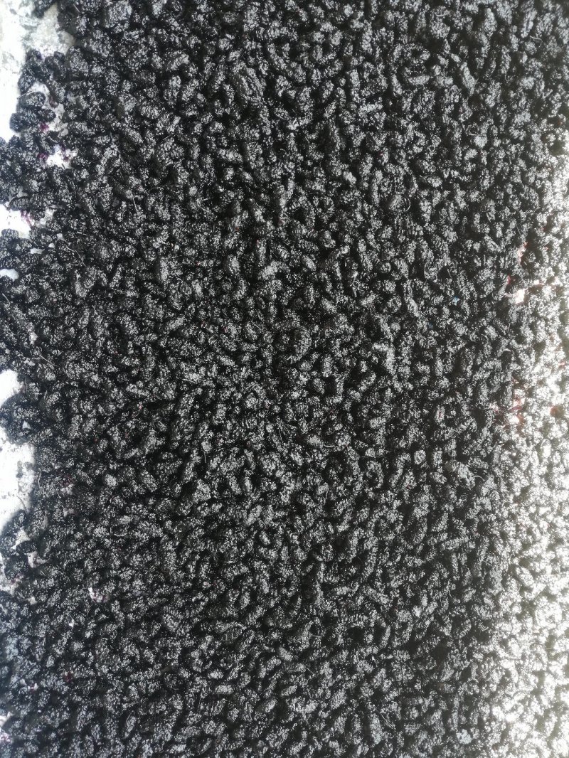 桑葚干黑桑椹饮片花茶药材全年供应提供物流包邮欢迎实地考察