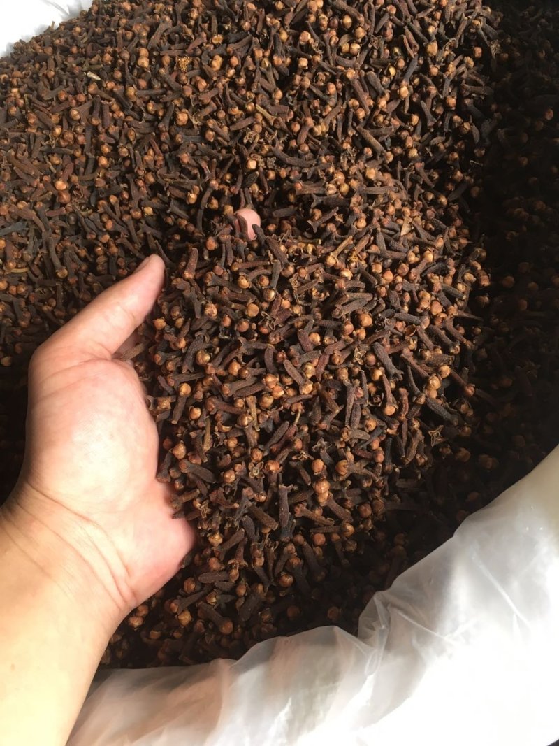 优质大红公丁香香料调料炒菜卤料火锅底料可打粉可钓鱼足干无
