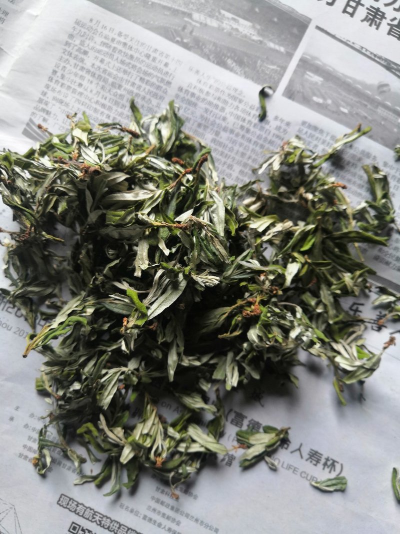 22年新货甘肃野生沙棘原叶可泡茶饮产地直销正品无添加包邮