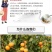 纯熟杏仁粉500g天然生甜南杏仁粉酮马卡龙烘焙原