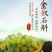 正宗赤水金钗石斛鲜条十大仙草之首大山上种植