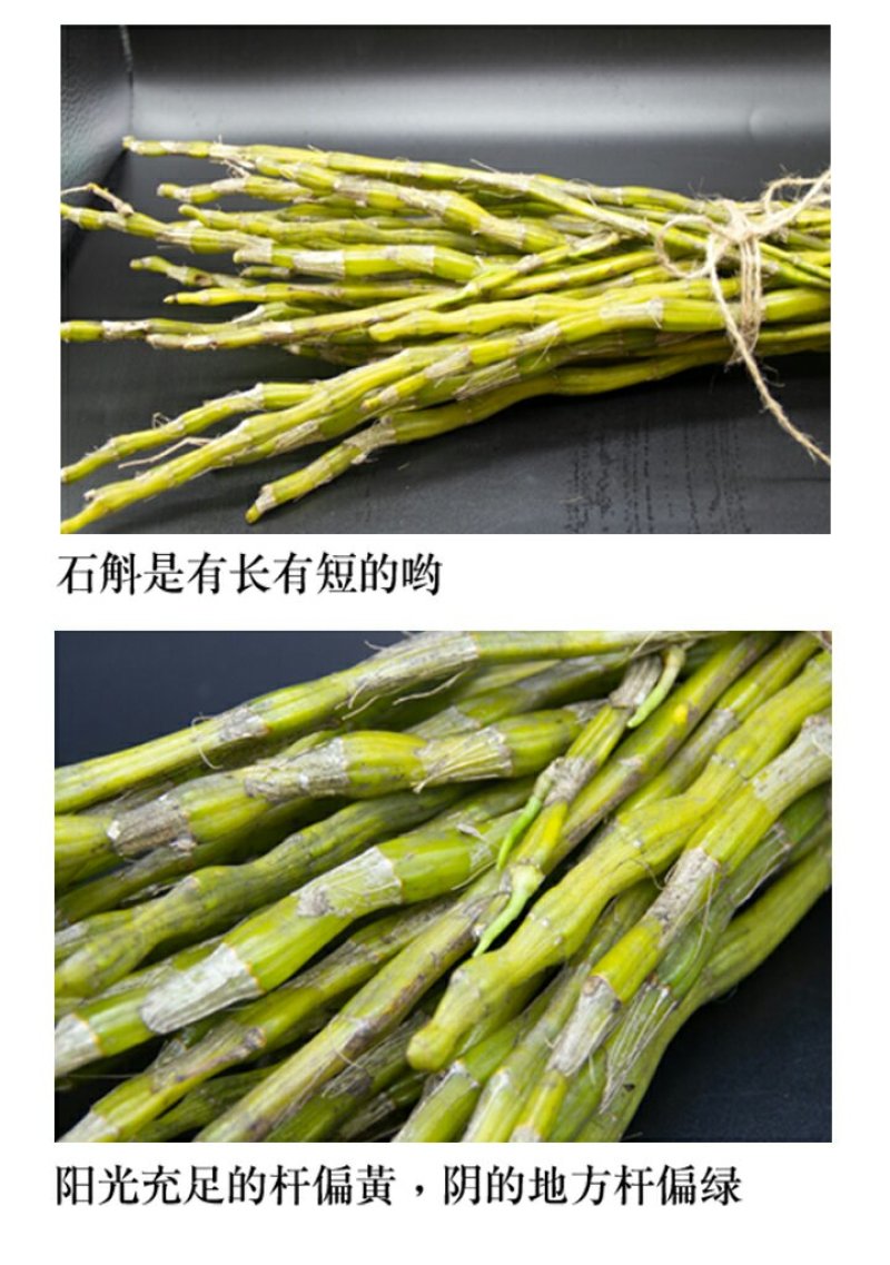 正宗赤水金钗石斛鲜条十大仙草之首大山上种植