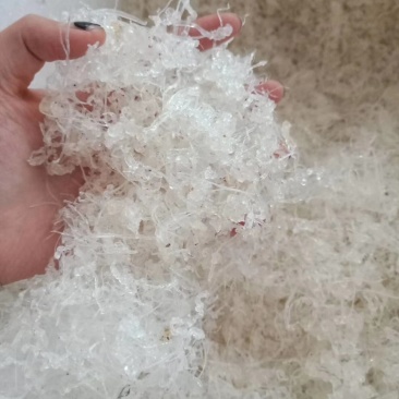 小龙须雪燕