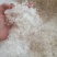 小龙须雪燕