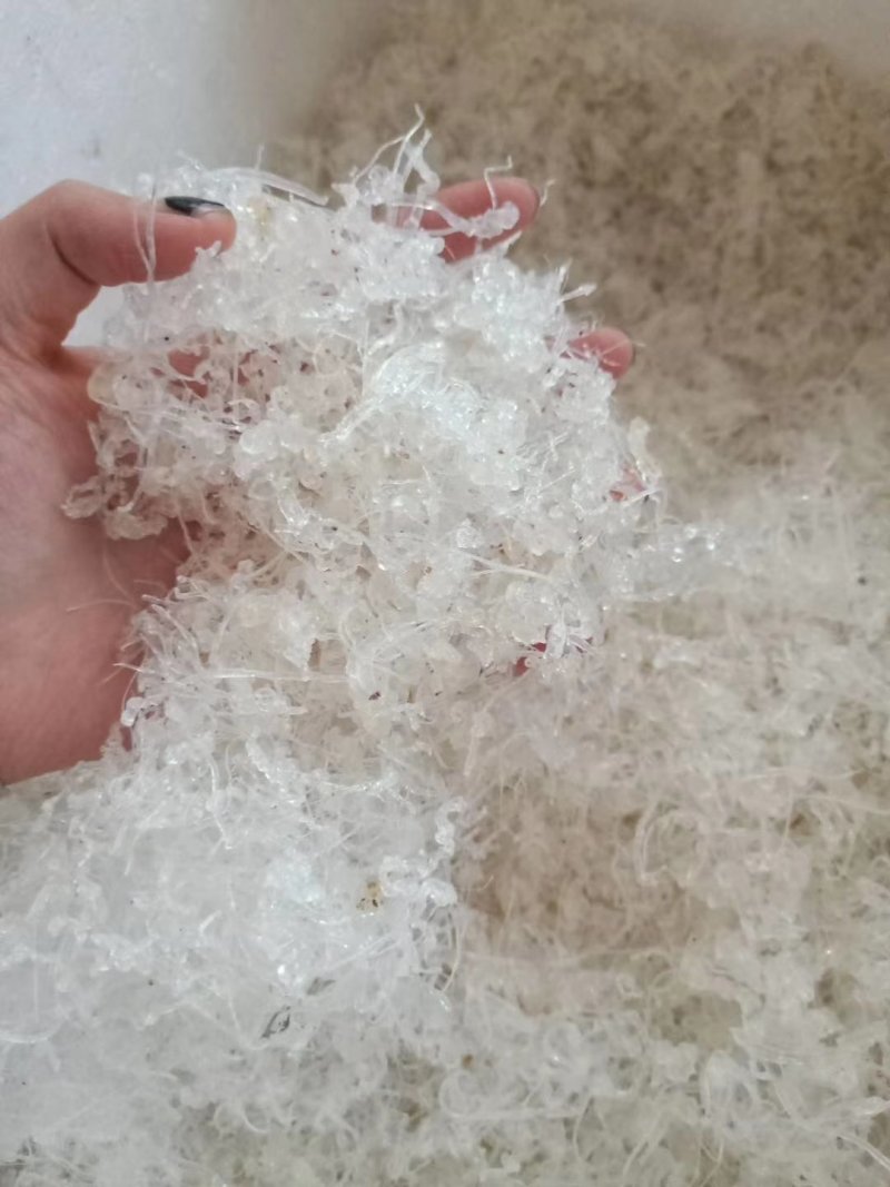 小龙须雪燕