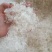 小龙须雪燕