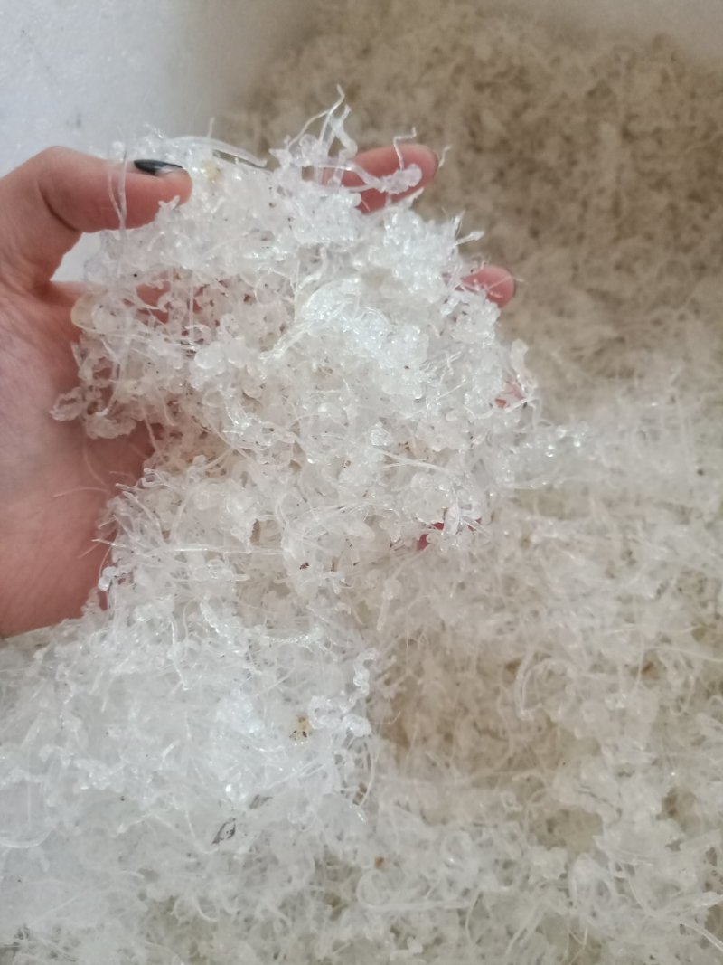 小龙须雪燕