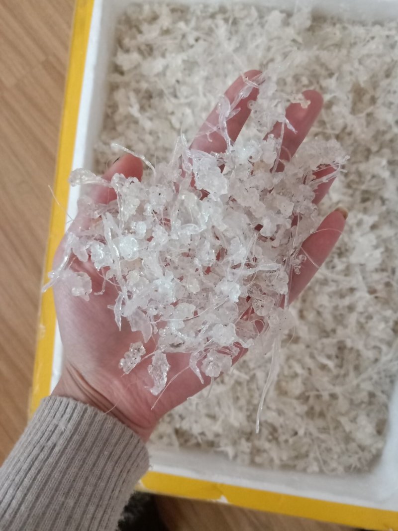 小龙须雪燕