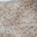 小龙须雪燕