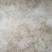 小龙须雪燕