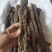 肉苁蓉阿拉善野生肉苁蓉500克软大云泡茶泡酒料