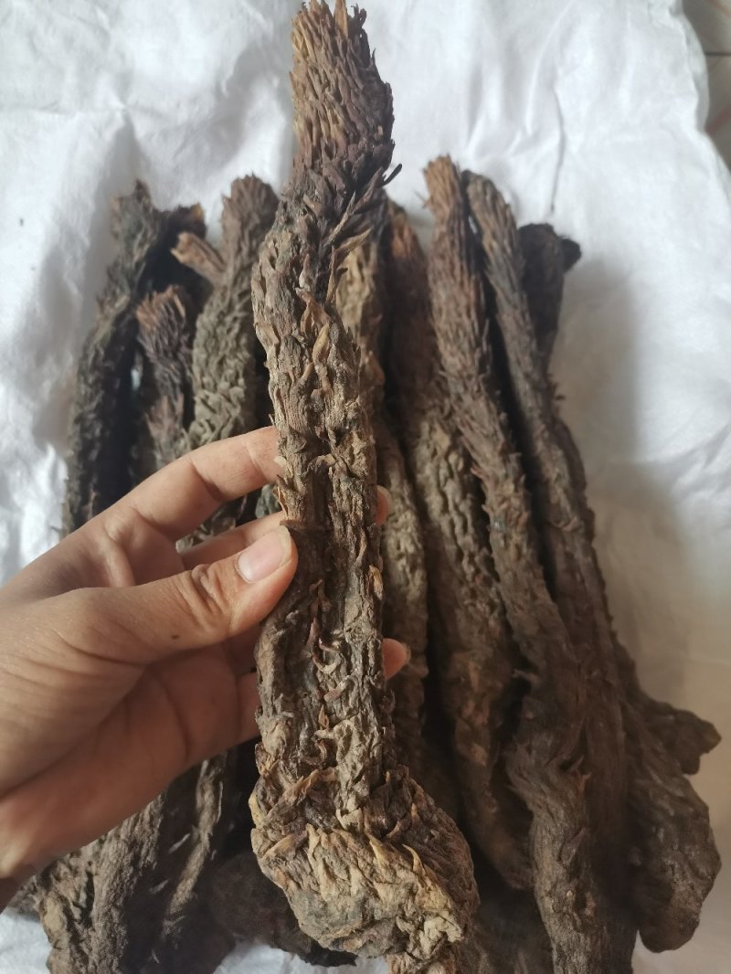 肉苁蓉阿拉善野生肉苁蓉500克软大云泡茶泡酒料