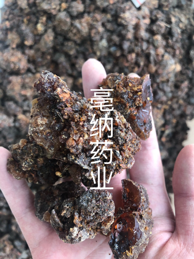 没药野生炙没药中药材批发没药1⃣️公斤起批