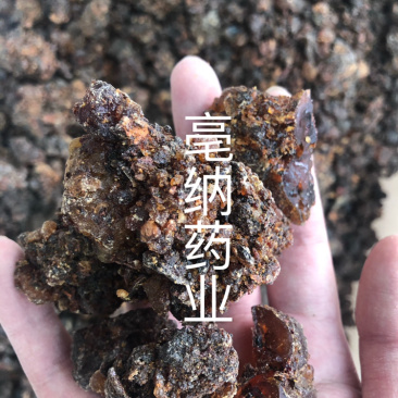 没药野生炙没药中药材批发没药1⃣️公斤起批