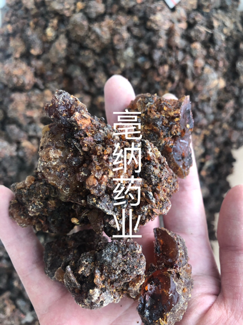没药野生炙没药中药材批发没药1⃣️公斤起批