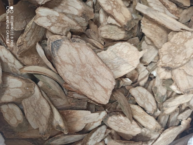 九龙藤可打粉各种规格专营中药批发欢迎来电咨询