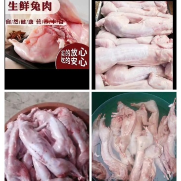 兔肉
