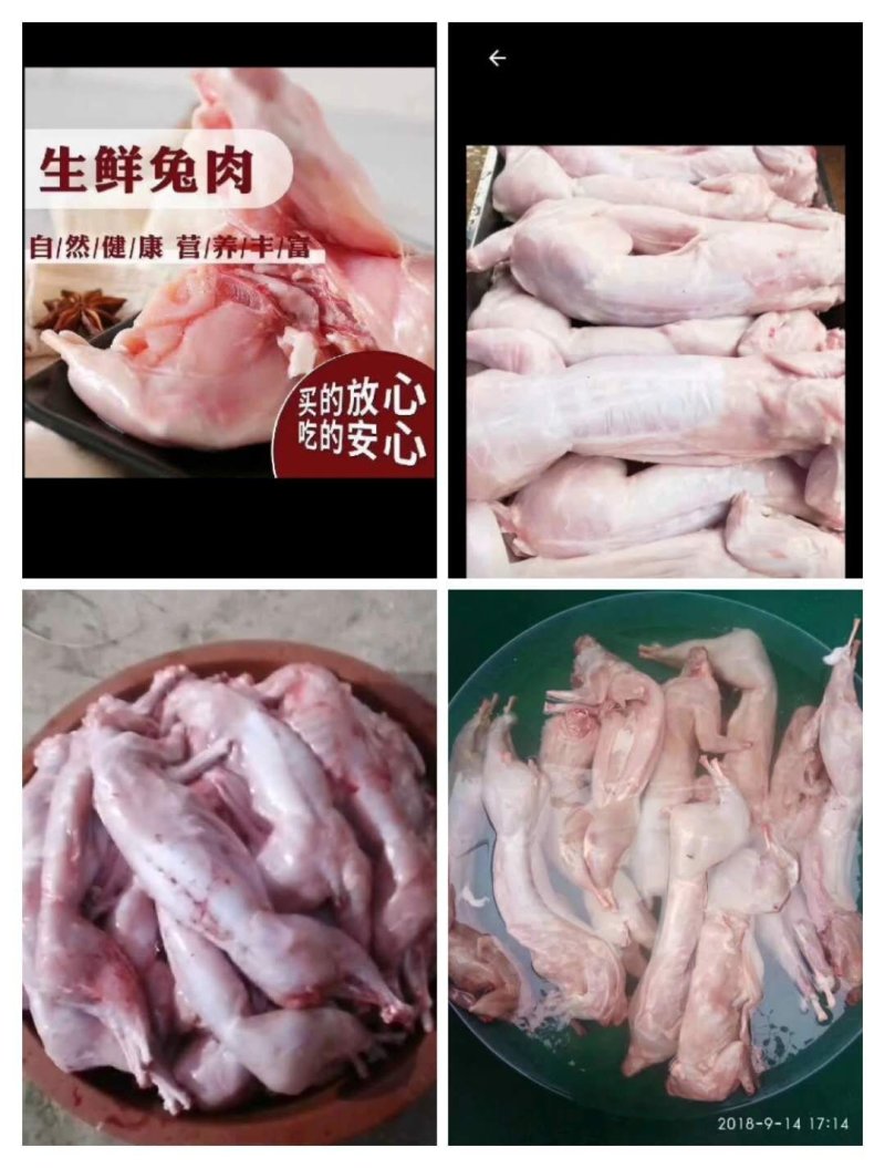 兔肉