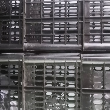 黑筐