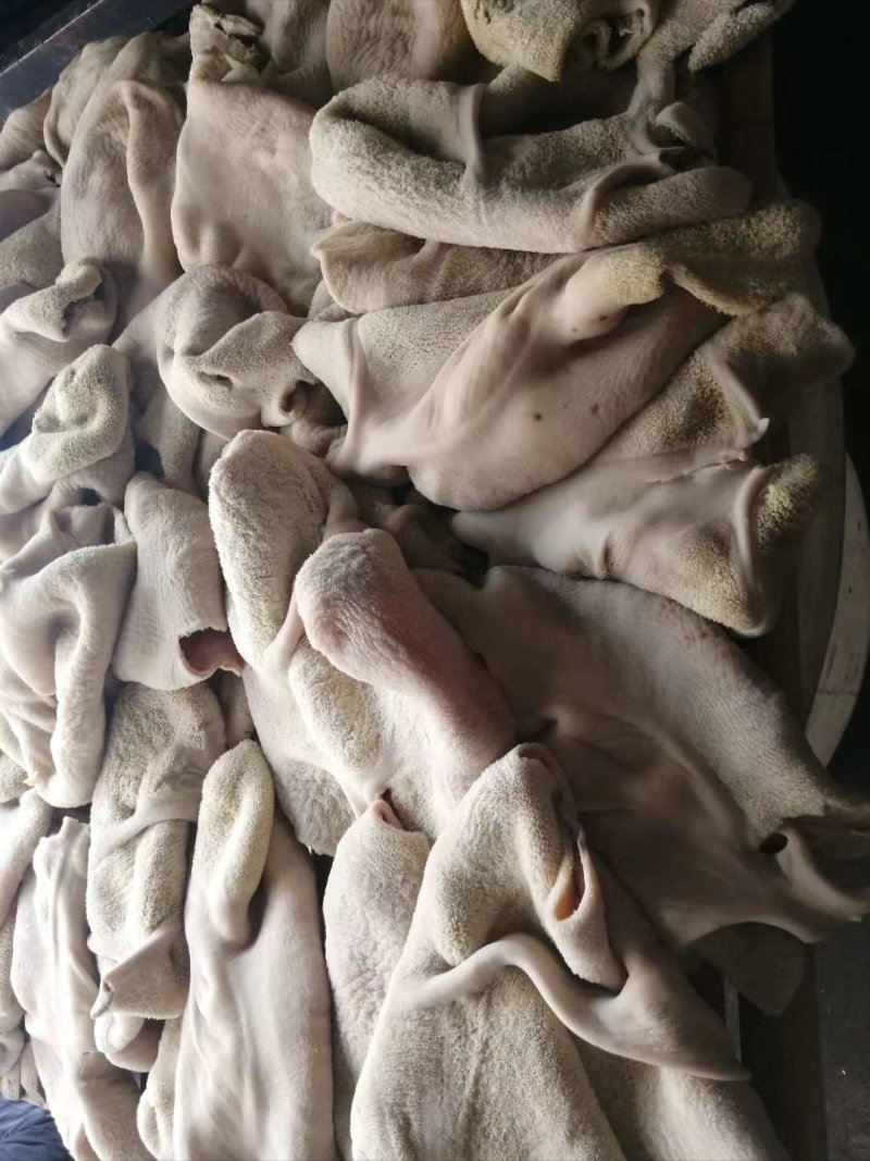 精品全熟牛肚干净无油无冰个个精修常年加工