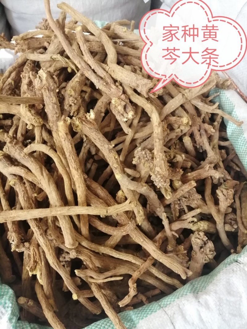 黄芩，黄芩瓜子片、圆片、长片，甘肃地产货，长期供应！