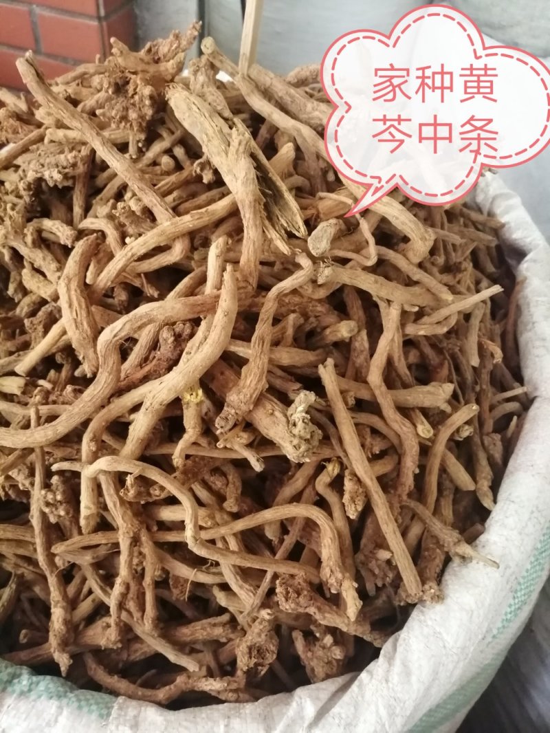 黄芩，黄芩瓜子片、圆片、长片，甘肃地产货，长期供应！