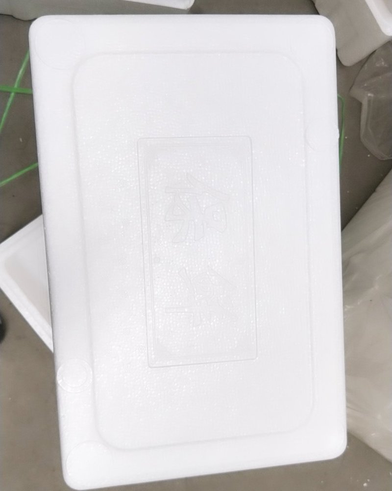 海12