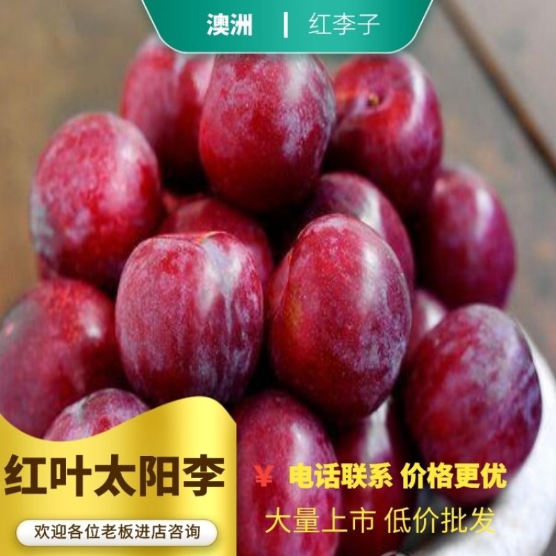 澳洲红李子樱桃李平头红宝石口感脆甜大量有货