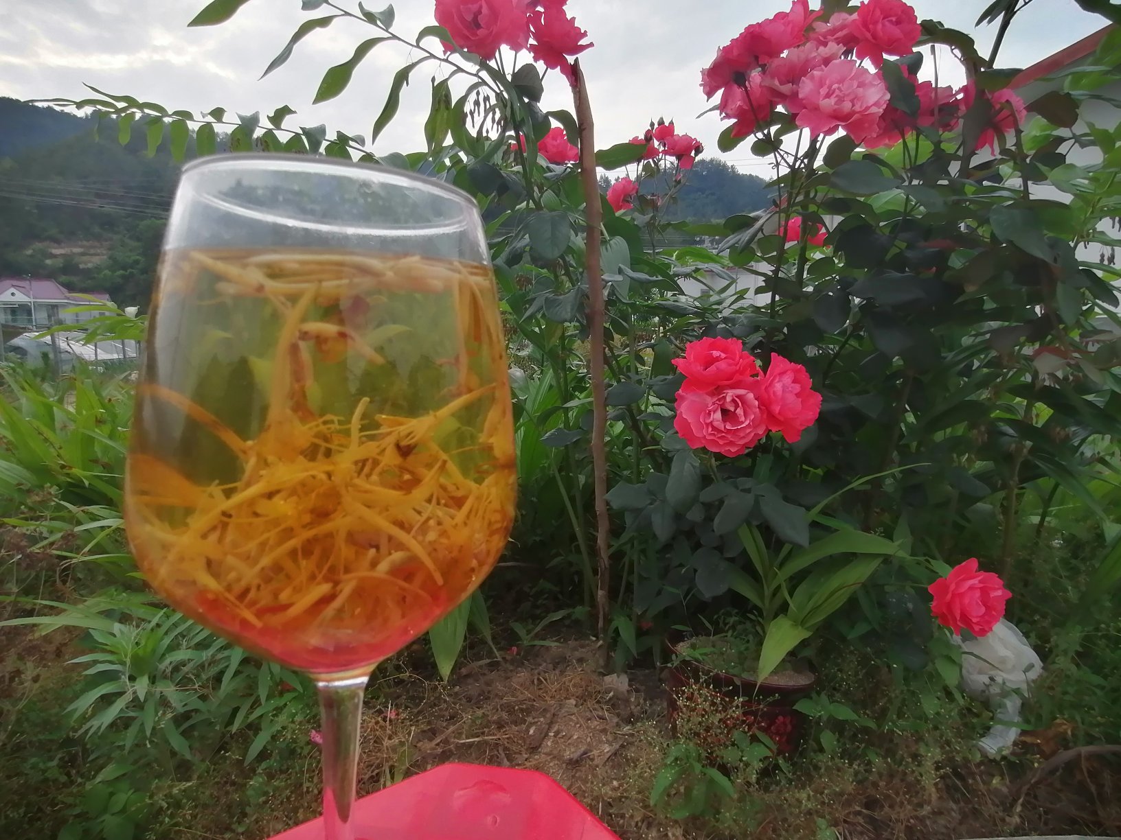 金花茶与柠檬组合展示图
