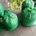 毛豆（新鲜毛豆现货供应）