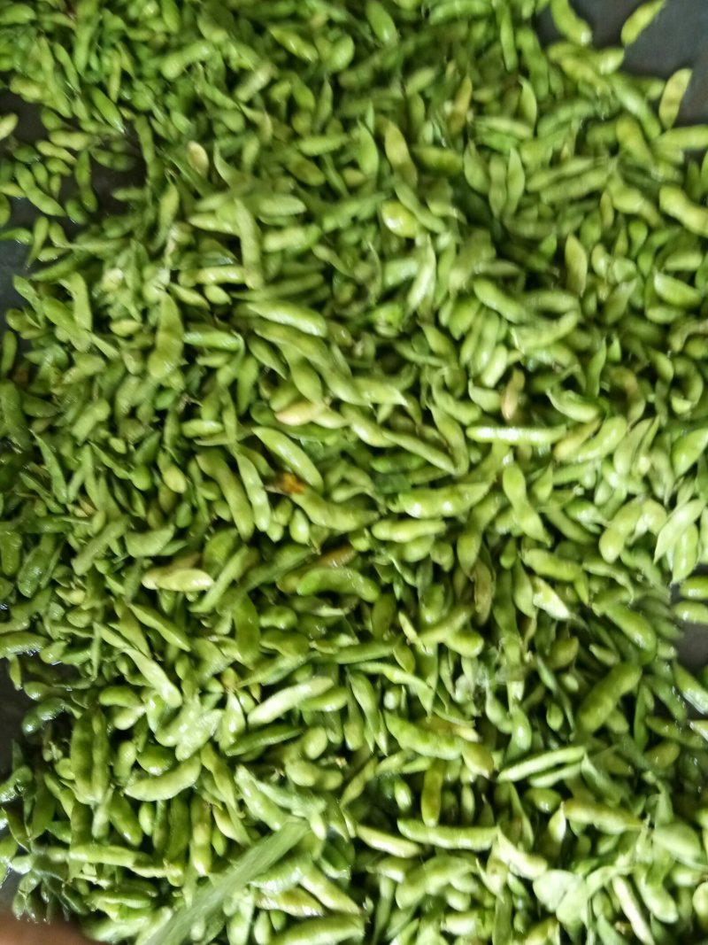 毛豆（新鲜毛豆现货供应）