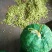 毛豆（新鲜毛豆现货供应）
