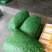 毛豆（新鲜毛豆现货供应）
