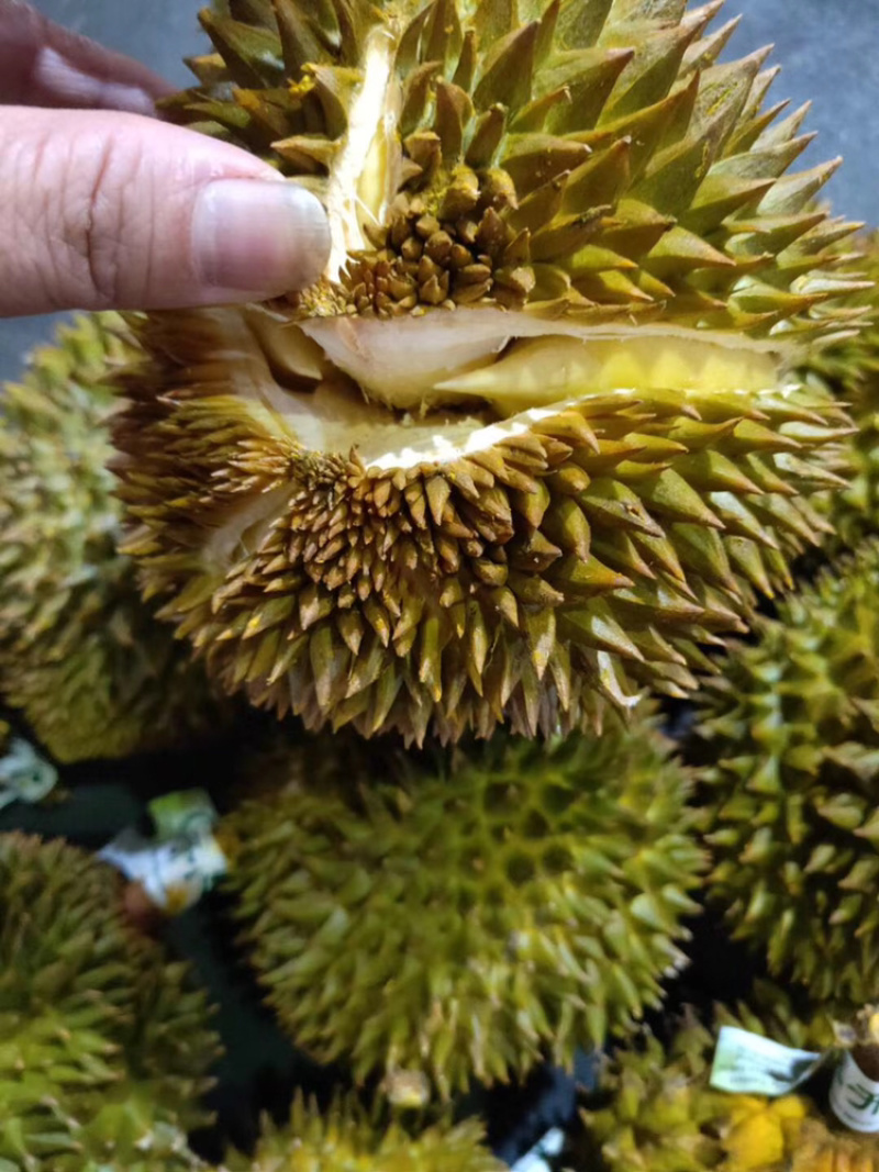 泰国榴莲小金枕巴掌9-13头榴莲新鲜榴莲现货一手货源