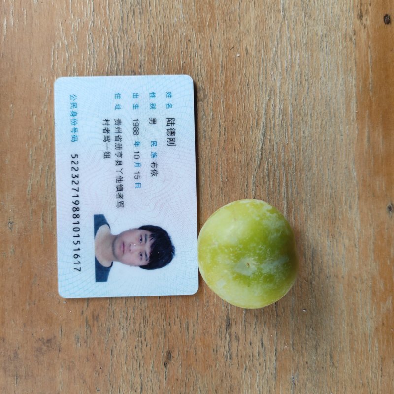贵州青脆李脱骨李