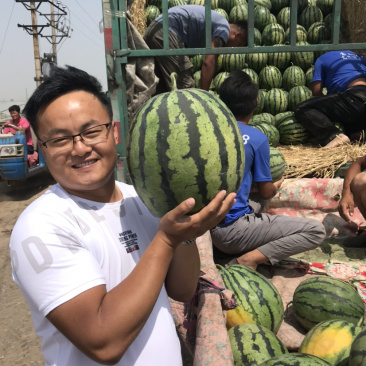 甜王西瓜，各种品质