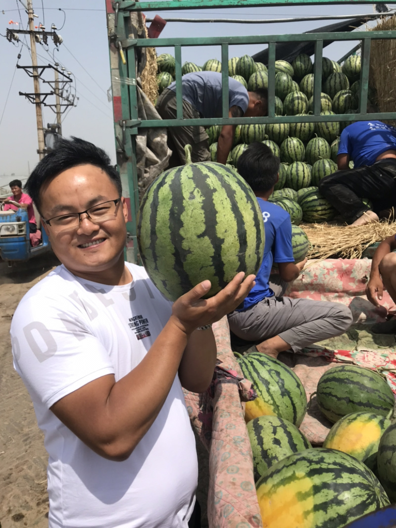 甜王西瓜，各种品质