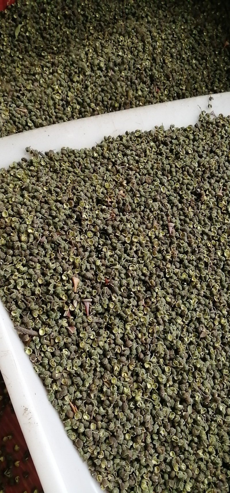 青花椒