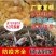 【大品种杂交鸭出壳苗】厂家直销，包疫苗，包路损，量大从优