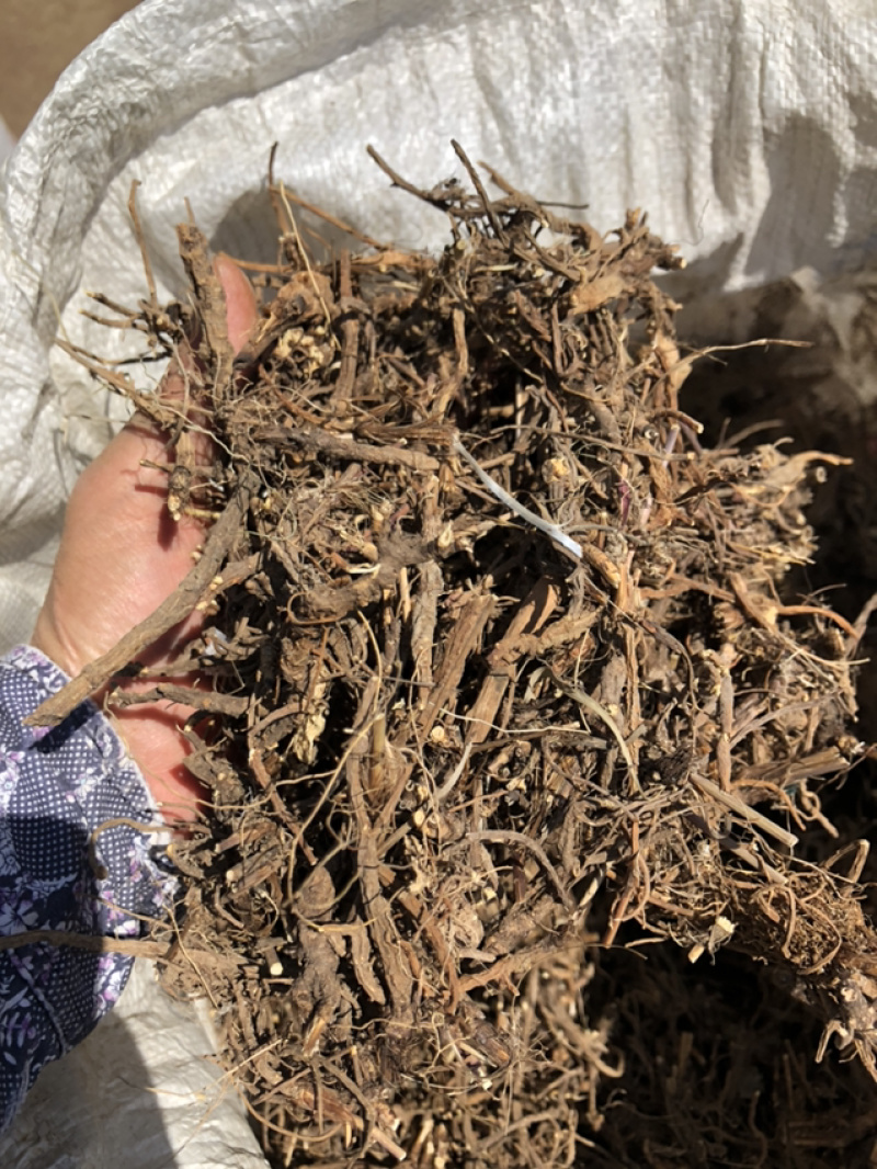 承德野生柴胡，今年今年新货，含量高，品质高。