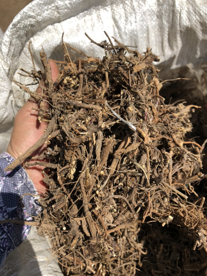 承德野生柴胡，今年今年新货，含量高，品质高。