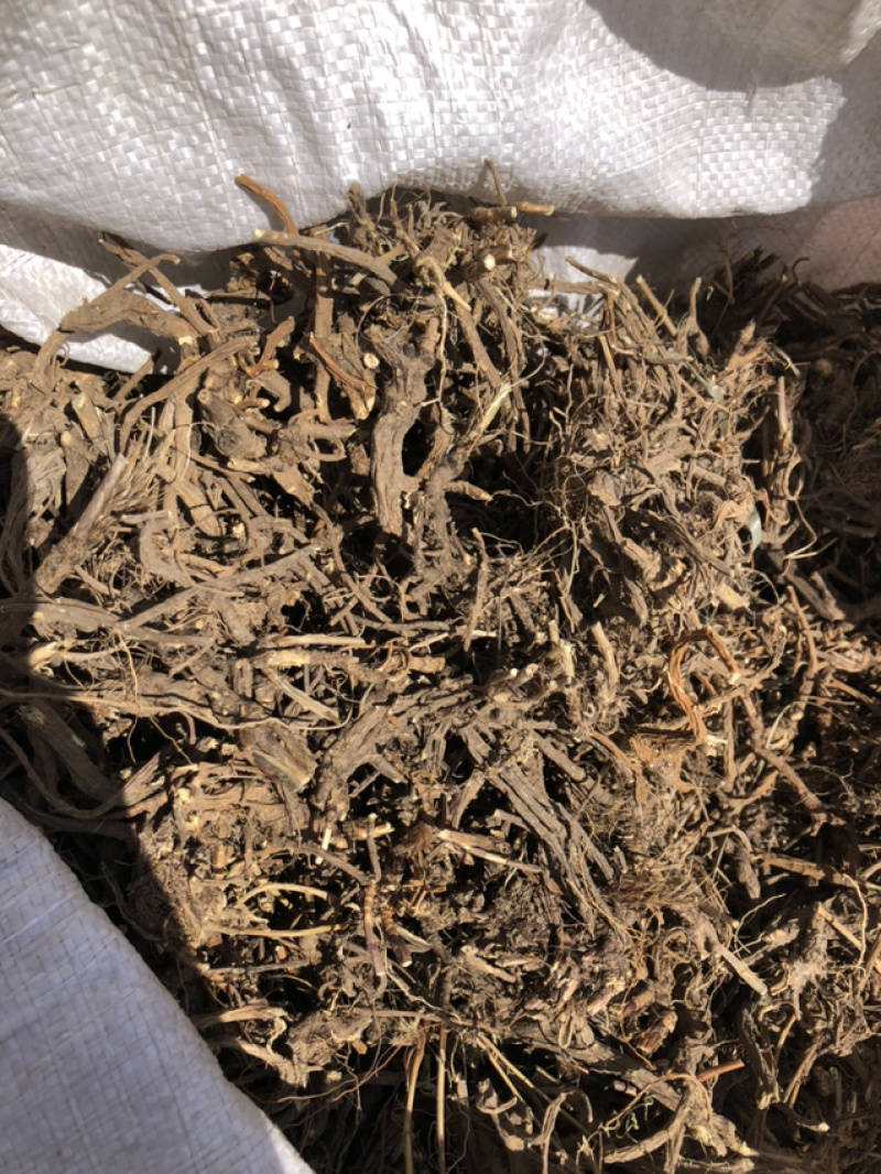 承德野生柴胡，今年今年新货，含量高，品质高。