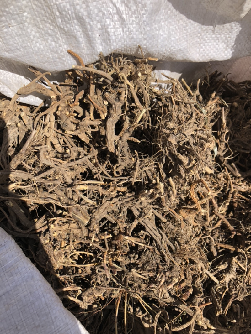 承德野生柴胡，今年今年新货，含量高，品质高。