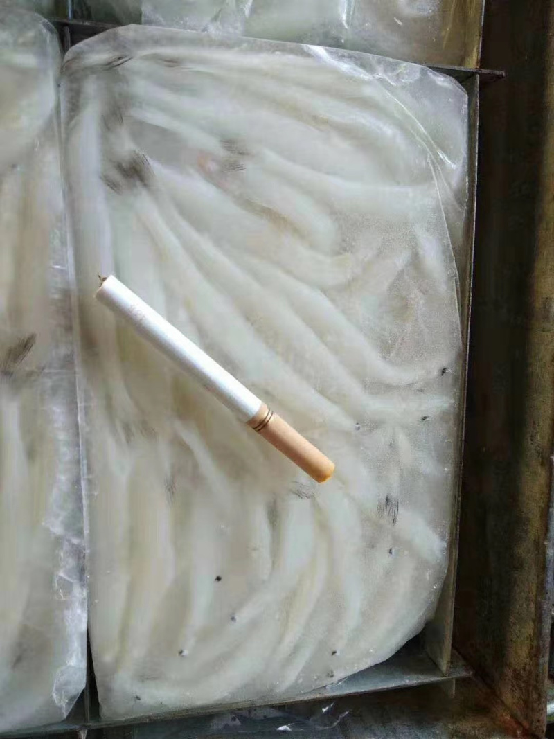 新鲜速冻大银鱼面条鱼孕妇宝宝辅食银鱼