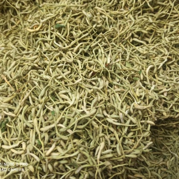 金银花各种规格茶花山银花金银批发零售中药材品质保证