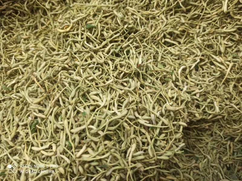 金银花各种规格茶花山银花金银批发零售中药材品质保证